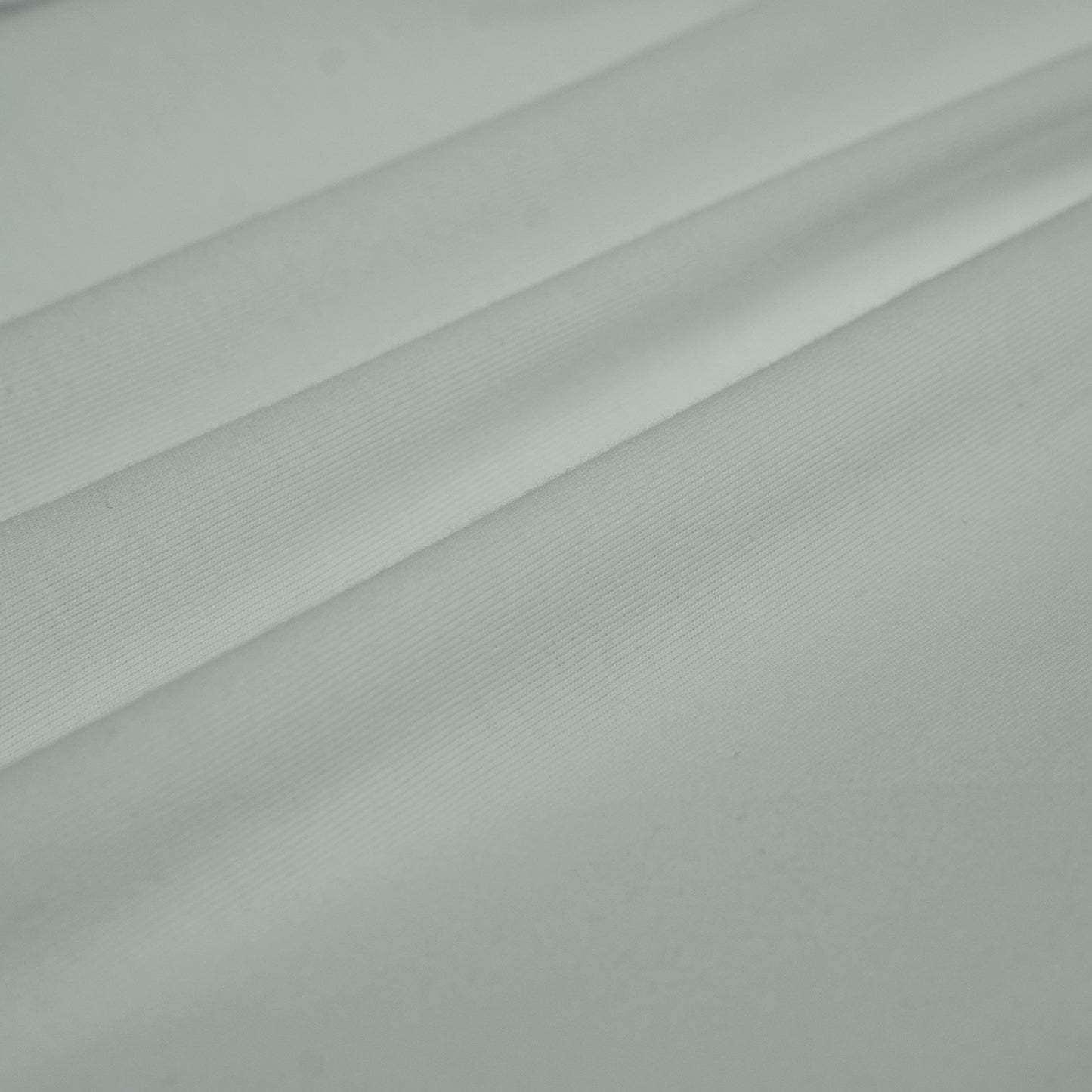 RIVER x ERIC®:t-shirt-Cat Ears-350613