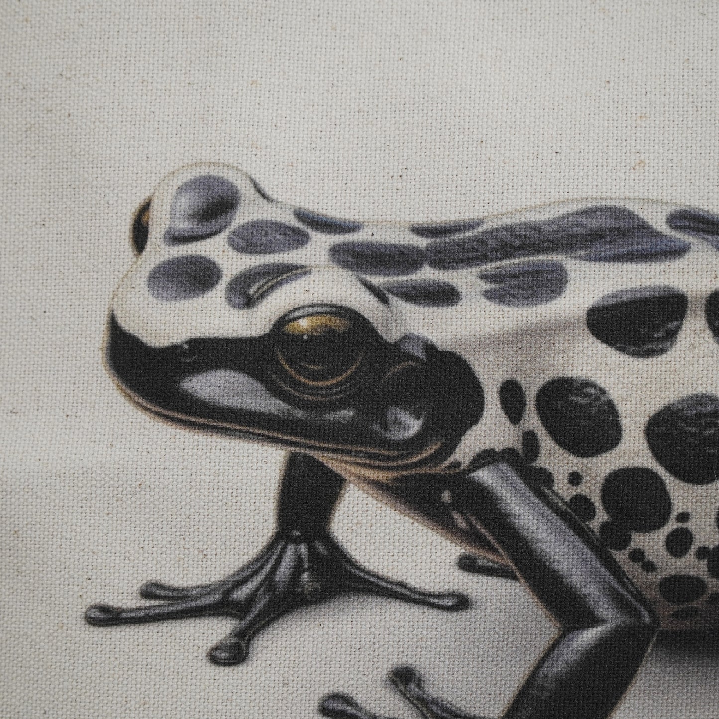 RIVER x ERIC®：Poison Dart Frog Handbag/Shoulder Bag-350299