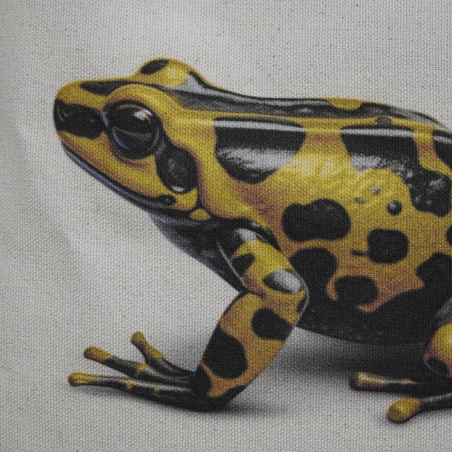 RIVER x ERIC®：Poison Dart Frog Handbag/Shoulder Bag-350299